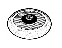 8 in. Stick & Sand Back - Up Pad