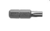 Ap49-30Ipx 30 Torx Plus