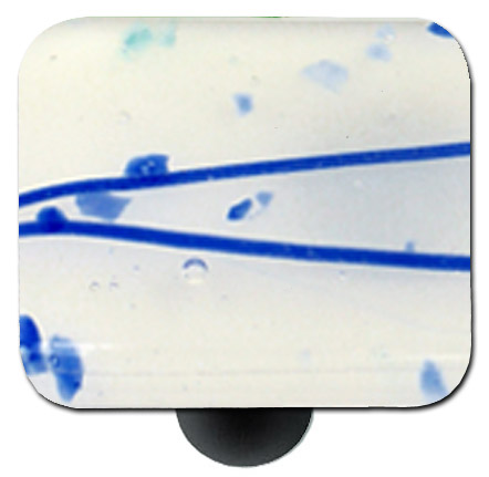 Mardi Gras Blue with White Square Glass Cabinet Knob - Black Post