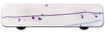 Mardi Gras Purple with White Rectangle Glass Cabinet Pull - Black Post