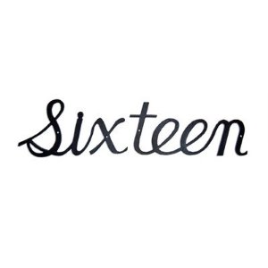 Script Modern House Number Sixteen