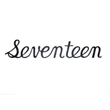 SHN-17sm Small Script Modern House Number Seventeen