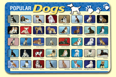 Picture of Painless Learning DOG-1 Popular Dogs Placemat - Pack of 4
