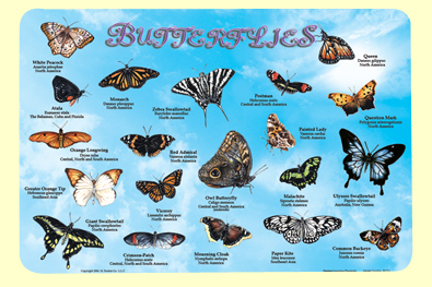 Picture of Painless Learning BUT-1 Butterflies Placemat - Pack of 4