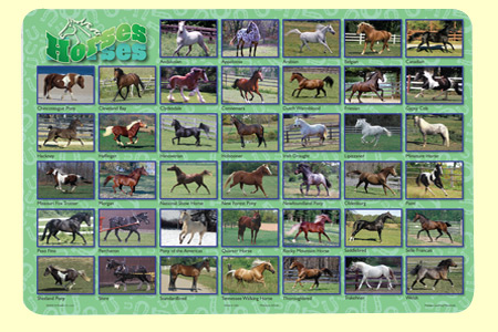 Picture of Painless Learning HOR-1 Horses Placemat - Pack of 4