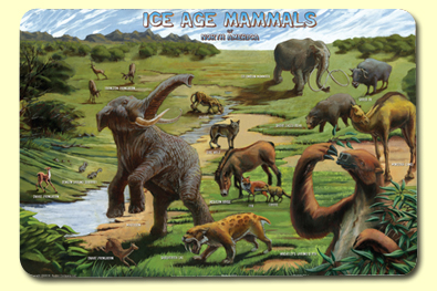 Picture of Painless Learning ICE-1 Ice Age Placemat - Pack of 4