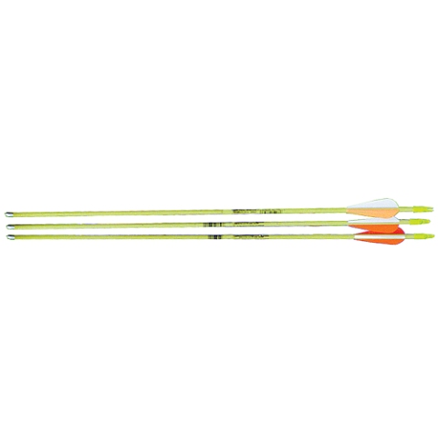 Picture of Bear Archery AS3800003 24 in. Safety Glass Vaned Arrows 3 Pack