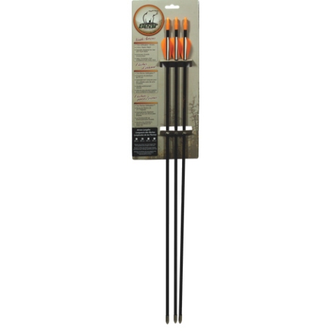 Picture of Bear Archery A1026 26 in. Safety Glass Vaned Arrows- 3 Per Pack
