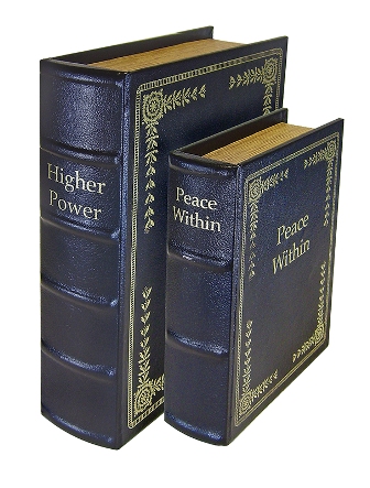 Diversion Books Gun Concealment, set of 2 - Black