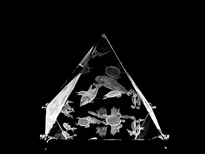 Picture of Asfour Crystal 1051-100-25 4 L x 3.75 H x 4 W in. Crystal Laser-Engraved Sea Life Sealife & Nautical Laser-Cut