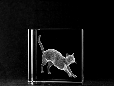 Picture of Asfour Crystal 1159-50-96 2 L x 2 H x 2 W in. Crystal Laser-Engraved Cat Animals and Nature Laser-Cut
