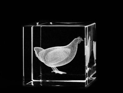 Picture of Asfour Crystal 1159-50-98 2 L x 2 H x 2 W in. Crystal Laser-Engraved Hen Animals and Nature Laser-Cut