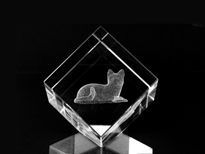 Picture of Asfour Crystal 1160-50-05 2 L x 2 H x 2 W in. Crystal Laser-Engraved Cat Animals and Nature Laser-Cut