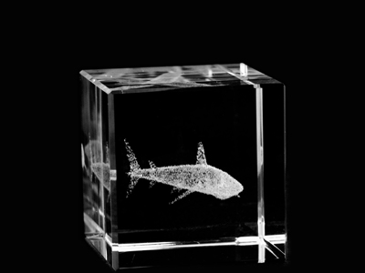 Picture of Asfour Crystal 1165-40-17 1.6 L x 1.6 H x 1.6 W in. Crystal Laser-Engraved Shark Sealife & Nautical Laser-Cut