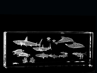 Picture of Asfour Crystal 1168-150-25 5.9 L x 2.4 H x 1.4 W in. Crystal Laser-Engraved Sea Life Sealife & Nautical Laser-Cut