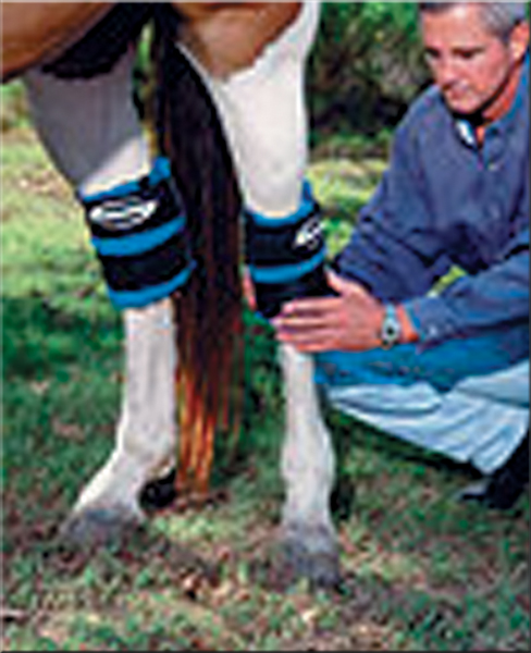 Picture of ProKold DK-105 HOCK or ANKLE Equine Leg Ice Wrap
