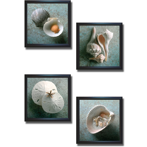 Picture of Artistic Home Gallery 1212601BS Shells by Wans Premium Black Framed Canvas Wall Art Set - 4 Piece