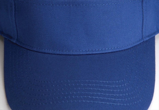 AC101 Ace 3-Panel Sunvisor, Royal