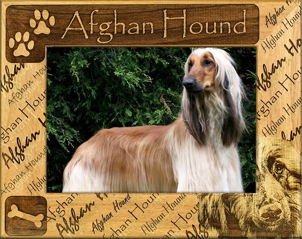 Picture of Giftworks Plus DBA0001 Afghan Hound- Alder Wood Frame- 3.5 x 5 In