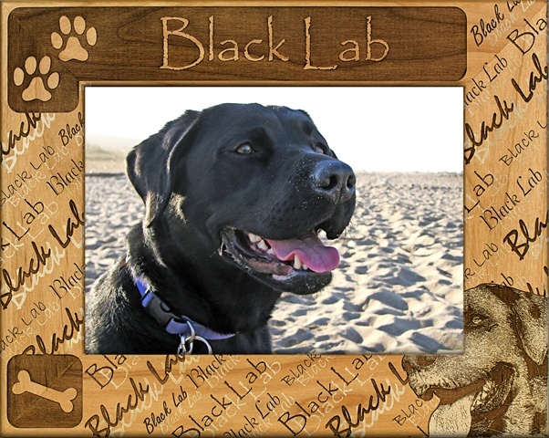 Giftworks Plus DBA0023 Black Lab, Alder Wood Frame, 3.5 x 5 In