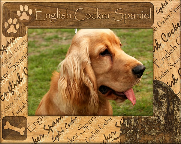 Picture of Giftworks Plus DBA0071 English Cocker Spaniel- Alder Wood Frame- 3.5 x 5 In