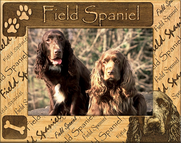 Picture of Giftworks Plus DBA0076 Field Spaniel- Alder Wood Frame- 3.5 x 5 In