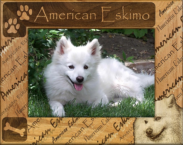 Picture of Giftworks Plus DBA0007 American Eskimo- Alder Wood Frame- 8 x 10 In