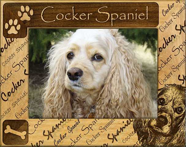 Picture of Giftworks Plus DBA0058 Cocker Spaniel- Alder Wood Frame- 8 x 10 In