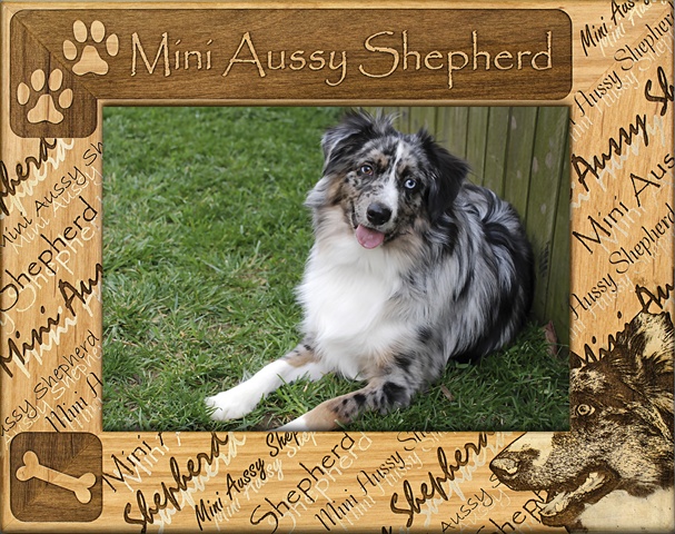Picture of Giftworks Plus DBA0117 Mini Aussy Shepherd- Alder Wood Frame- 3.5 x 5 In