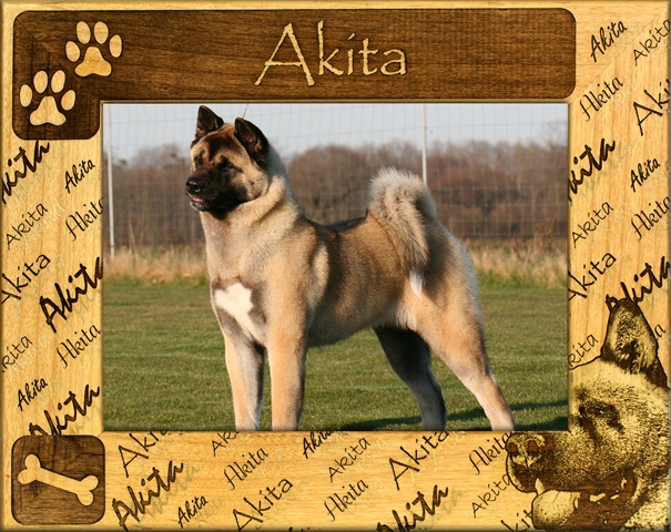Picture of Giftworks Plus DBA0003 Akita- Alder Wood Frame- 4 x 6 In