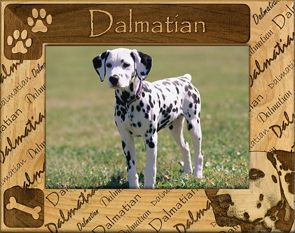 Picture of Giftworks Plus DBA0065 Dalmatian- Alder Wood Frame- 4 x 6 In
