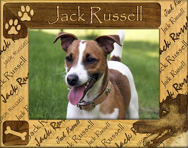 Picture of Giftworks Plus DBA0102 Jack Russell- Alder Wood Frame- 4 x 6 In