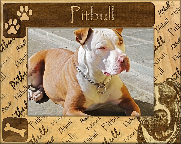 Picture of Giftworks Plus DBA0133 Pitbull- Alder Wood Frame- 4 x 6 In
