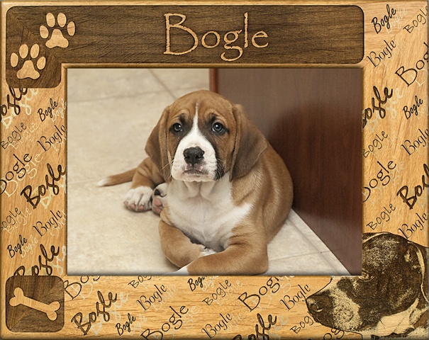 Giftworks Plus DBA0029 Bogle, Alder Wood Frame, 5 x 7 In