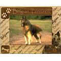 Giftworks Plus DBA0020 Belgian Tervuren, Alder Wood Frame, 3.5 x 5 In Giftworks Plus DBA0020 Belgian Tervuren, Alder Wood Frame, 3.5 x 5 In