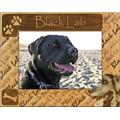 Giftworks Plus DBA0023 Black Lab, Alder Wood Frame, 3.5 x 5 In Giftworks Plus DBA0023 Black Lab, Alder Wood Frame, 3.5 x 5 In