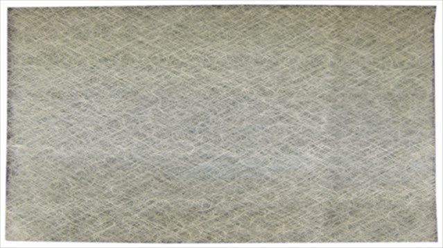 Picture of Bryant DP88NA2413E101-DBT Air Filter-  Pack Of 2