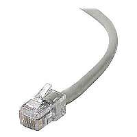 A3L980-25 Patch Cable- 25 Ft. Gray