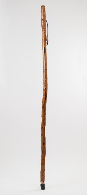 Picture of Brazos Walking Sticks SASS3 55 in. Free Form Sassafras Walking Stick