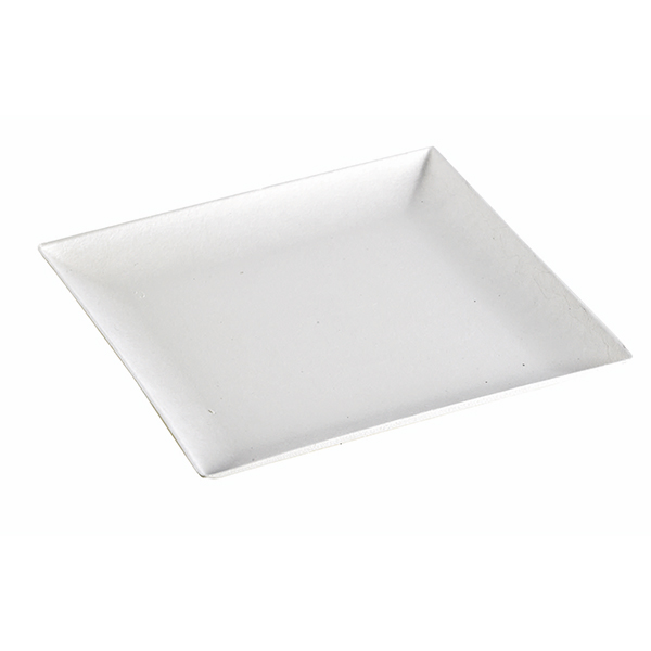 210BCHIC180 Bio N Chic Sugarcane Plate- Pack Of 100
