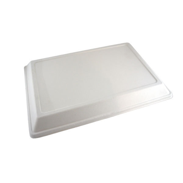 210ECODL4129 Sugarcane Lid- Pack Of 25
