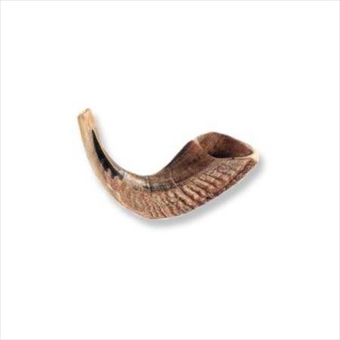 Picture of Holy Land Gifts 4878 Shofar Rams Horn D 8 In. 10 In.