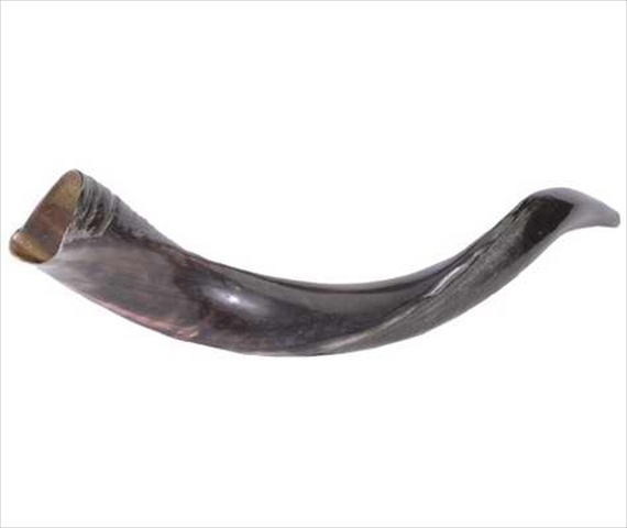 Picture of Holy Land Gifts 4884 Shofar Yemenite Mini 20 In. 22 In.