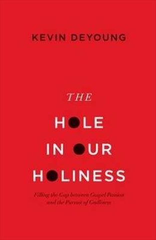 125965 Holes In Our Holiness