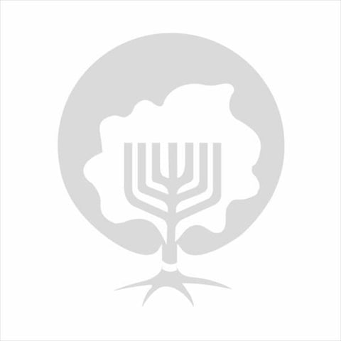Mezuzah Messianic Roots Symbol Blue Pewter 4.5 In.