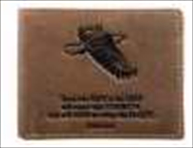 Wallet Genuine Leather Wings Like Eagles Brown