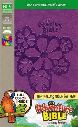 09085X Nirv Adventure Bible For Early Readers Full Color Purple Duotone Jun