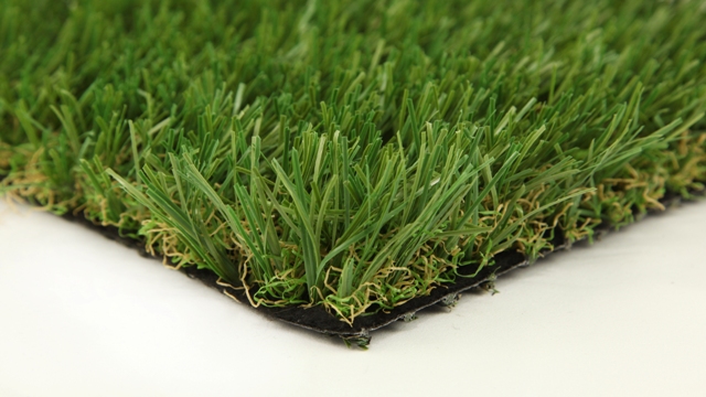 Picture of SGW Everlast SEQLT5015X1 Sequoia Light 12 x 180 x 1.50 in. Artificial Turf