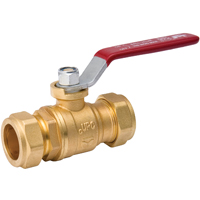 107-024NL Ball Valve