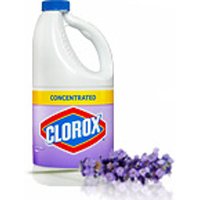 CLOROX
